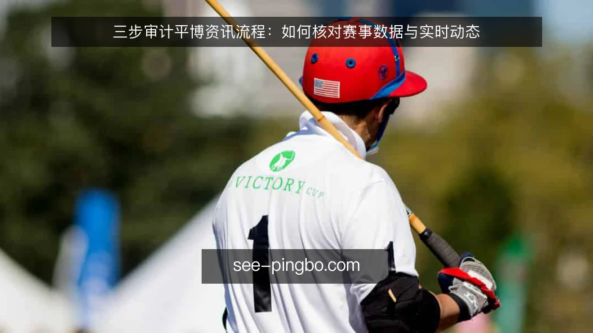 三步审计平博资讯流程：如何核对赛事数据与实时动态