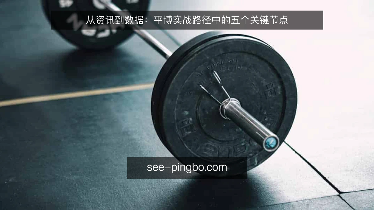 从资讯到数据：平博实战路径中的五个关键节点