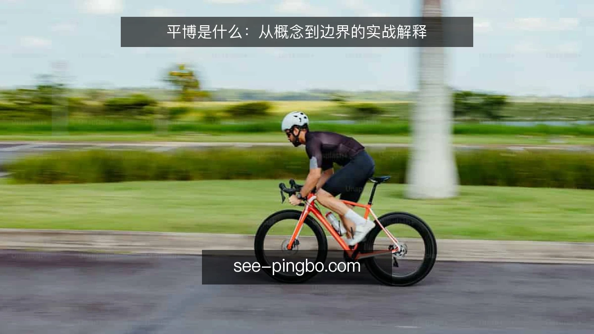 平博是什么:从概念到边界的实战解释