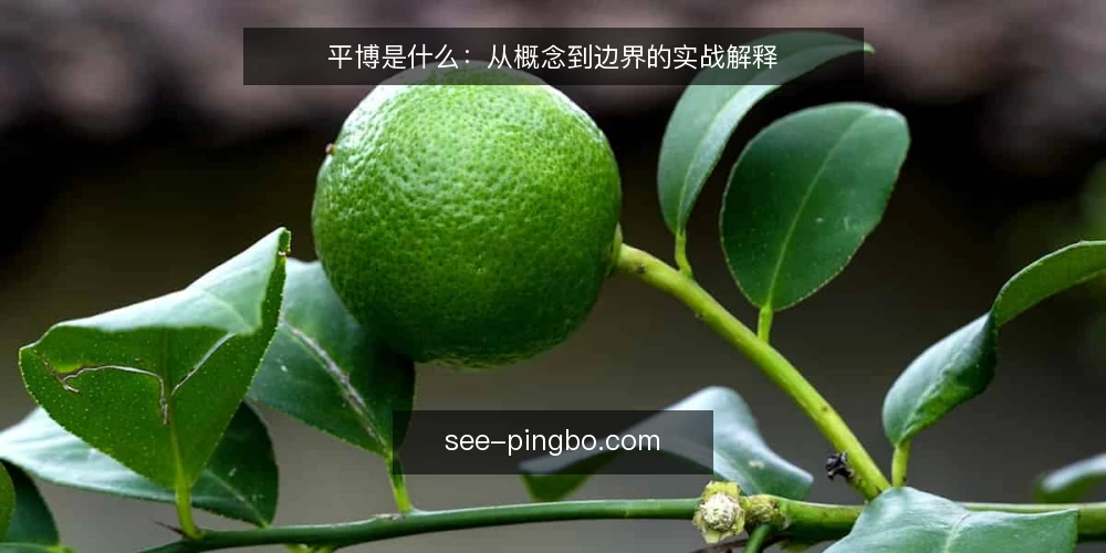 平博是什么:从概念到边界的实战解释 — 先看清问题:平博实战里最常见的三个卡点 配图
