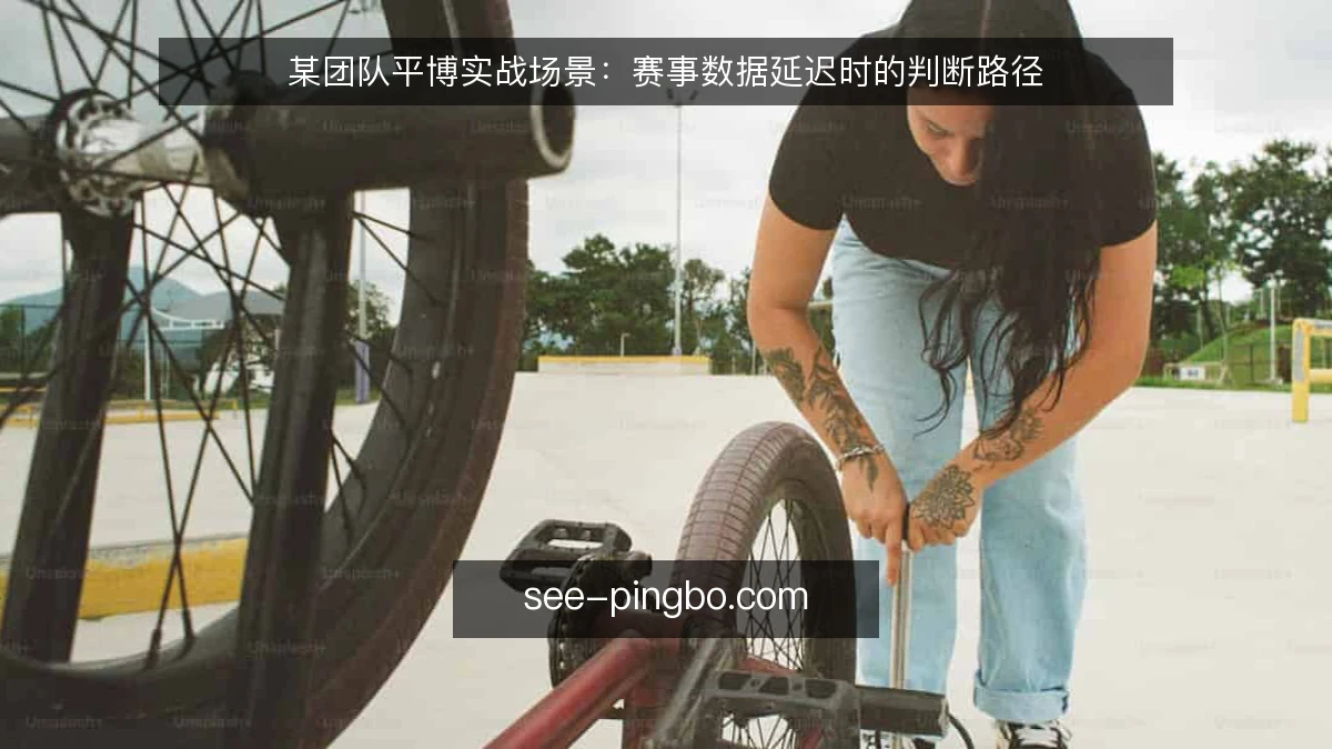 某团队平博实战场景:赛事数据延迟时的判断路径