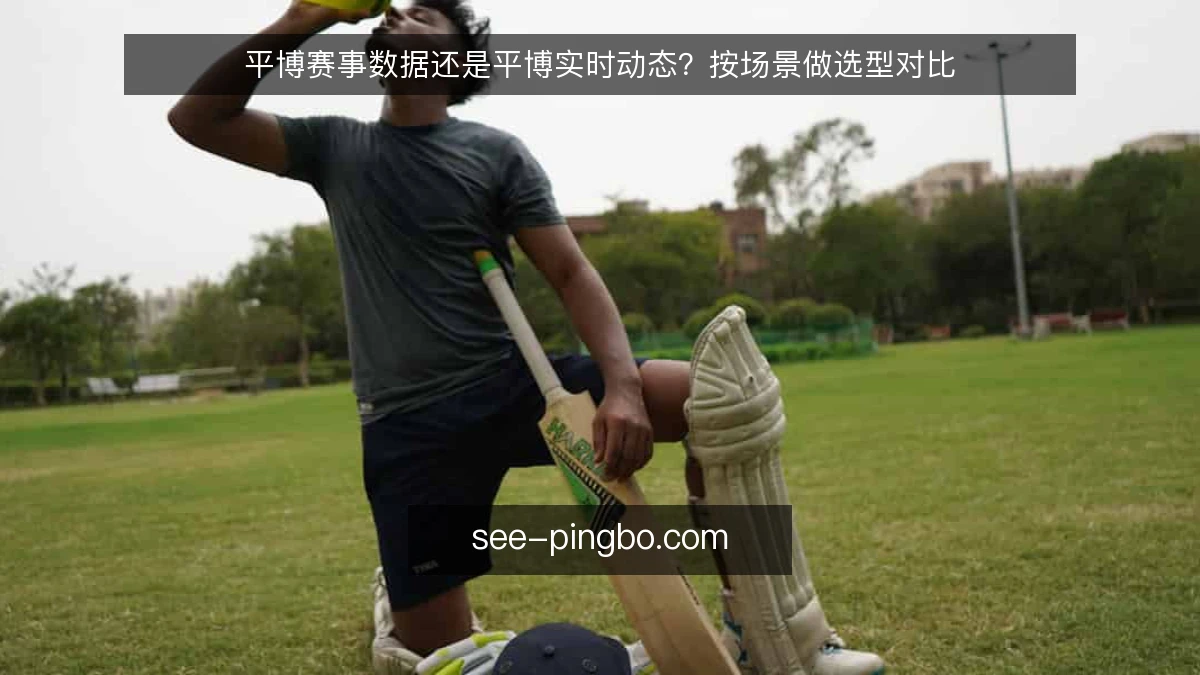 平博赛事数据还是平博实时动态？按场景做选型对比